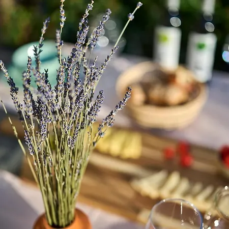 Spada Brand New With Garden 3 Min From Beach! Apartamento Poreč