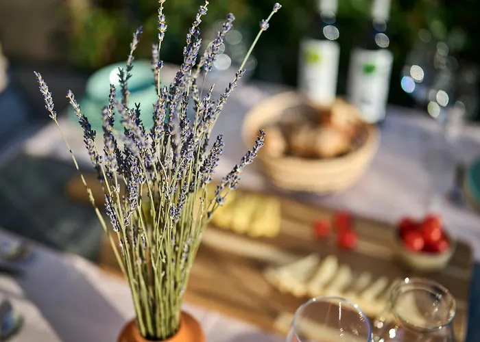 Spada Brand New With Garden 3 Min From Beach! Apartmán Poreč